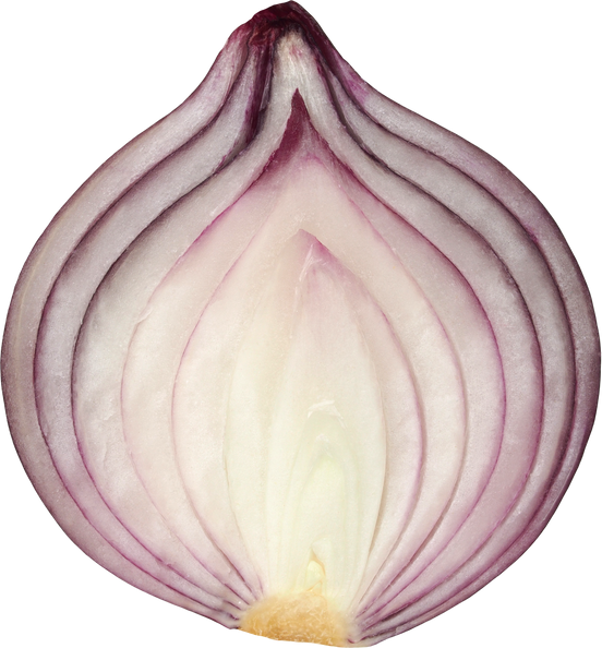 Red Onion on White