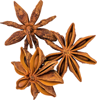 Star Anise Spice Cut Out from Background